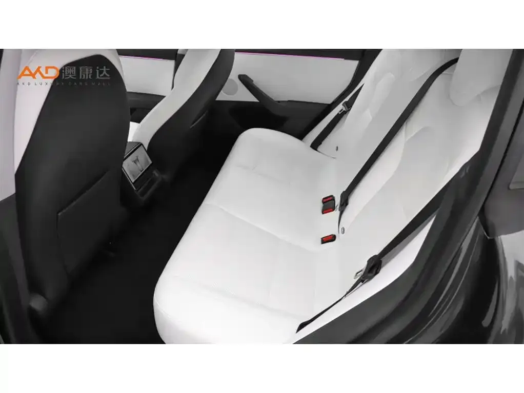 Tesla Model 3 2024 из CN, фото 7