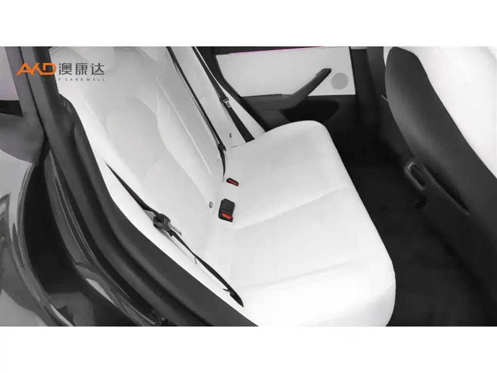 Tesla Model 3 2024 из CN, фото 8