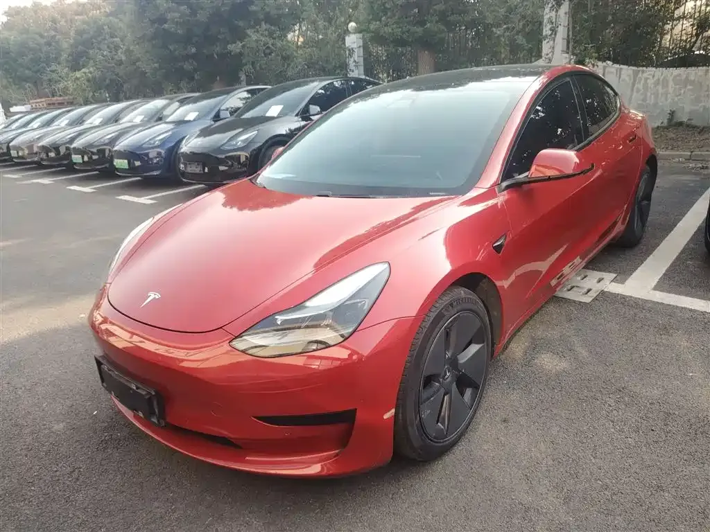 Tesla Model 3 2021 из CN, фото 2
