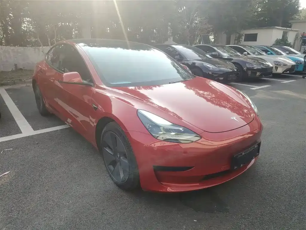 Tesla Model 3 2021 из CN, фото 4