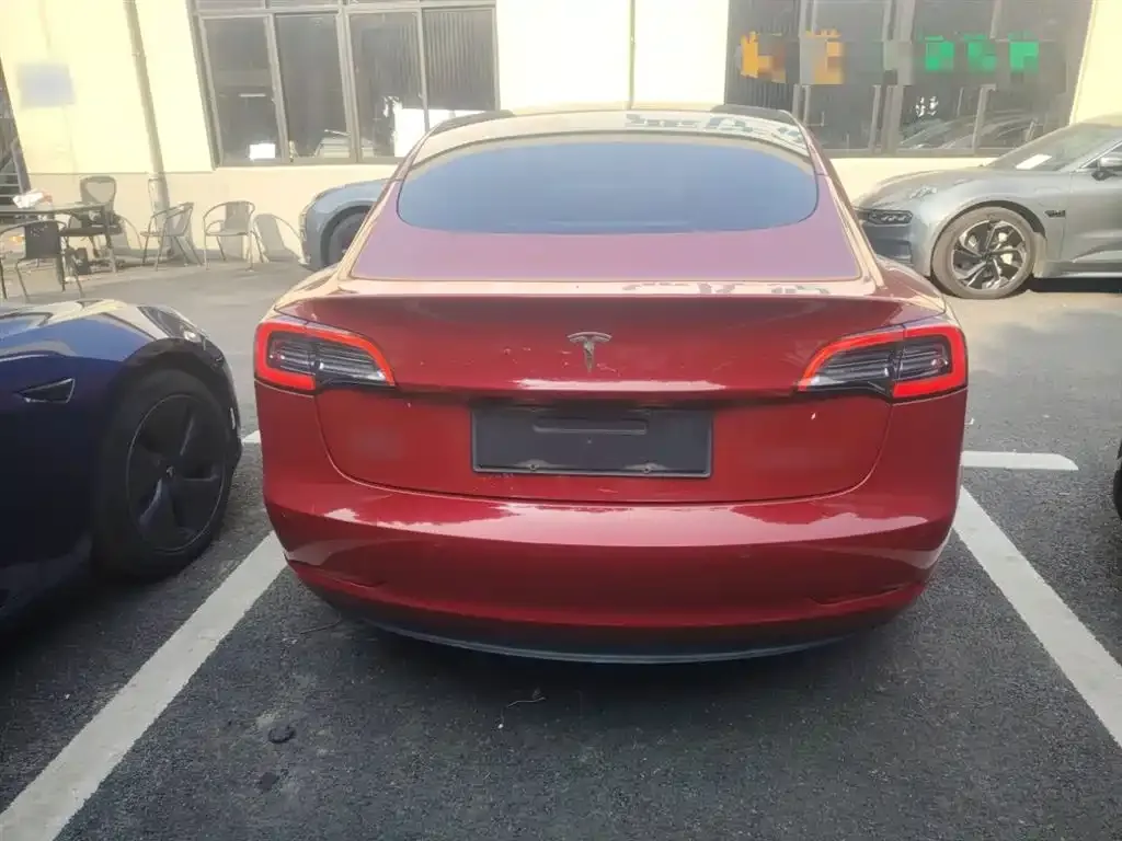 Tesla Model 3 2021 из CN, фото 6