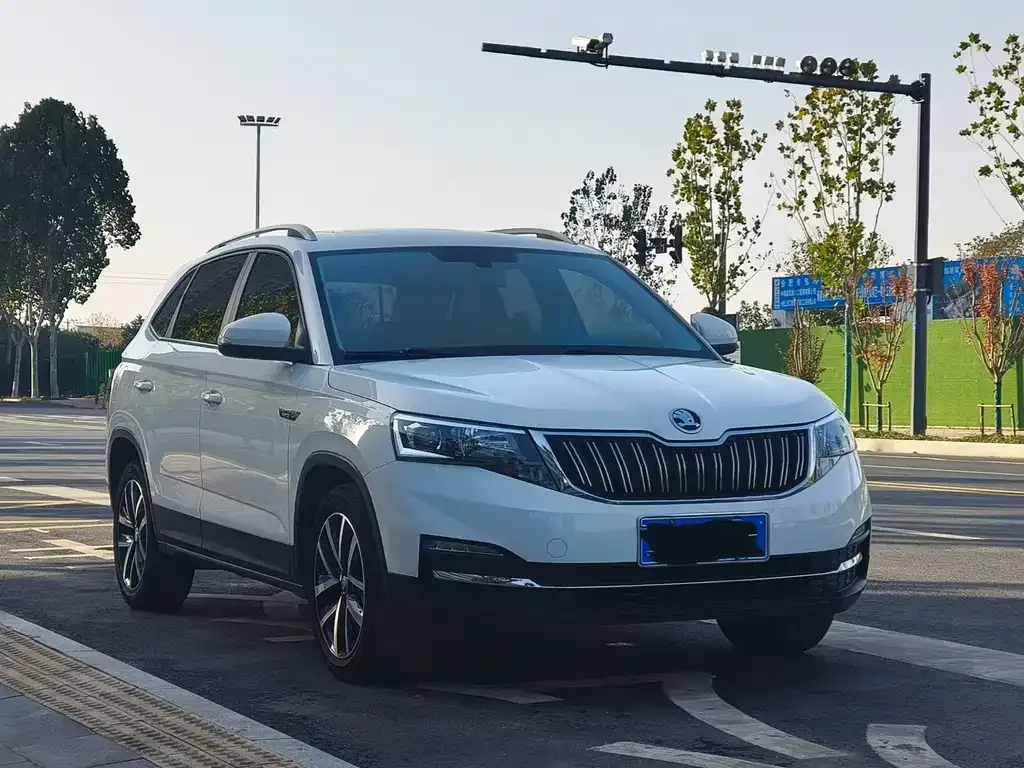 Skoda Kamiq 2022 из CN, фото 3