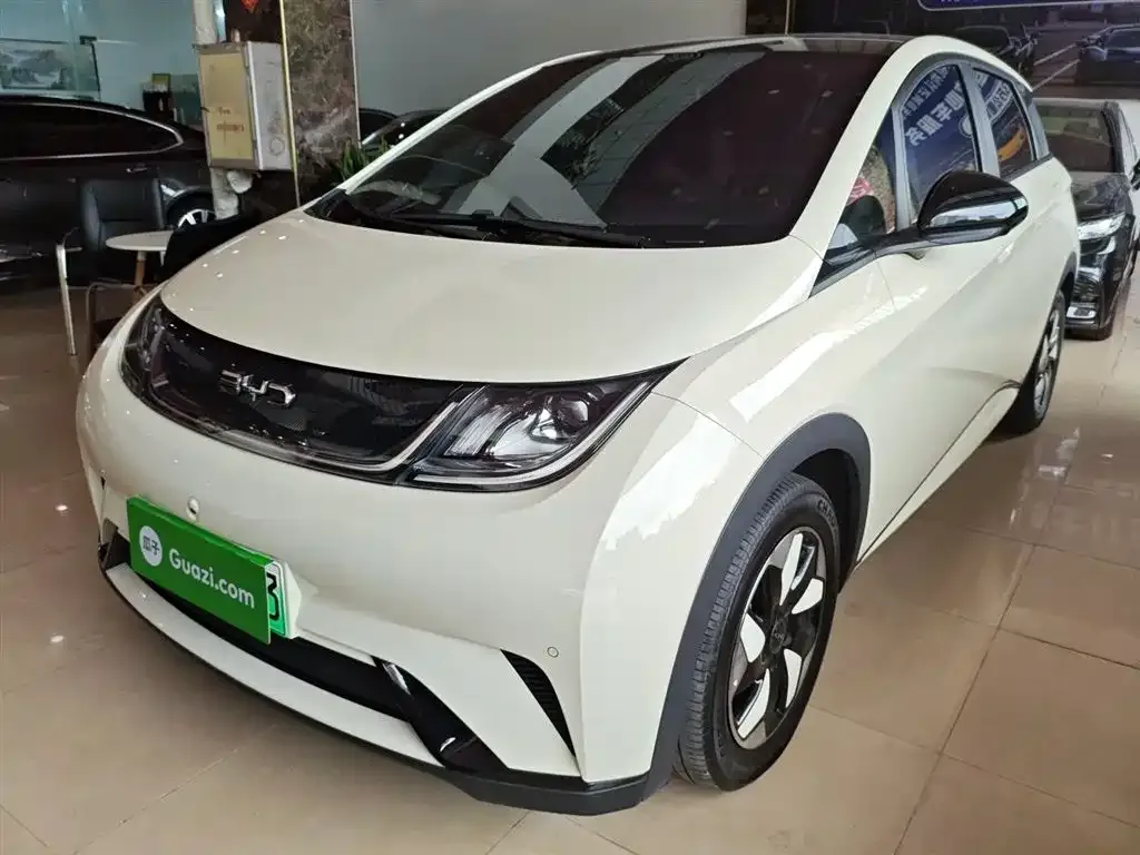 BYD Dolphin 2024 из CN, фото 2