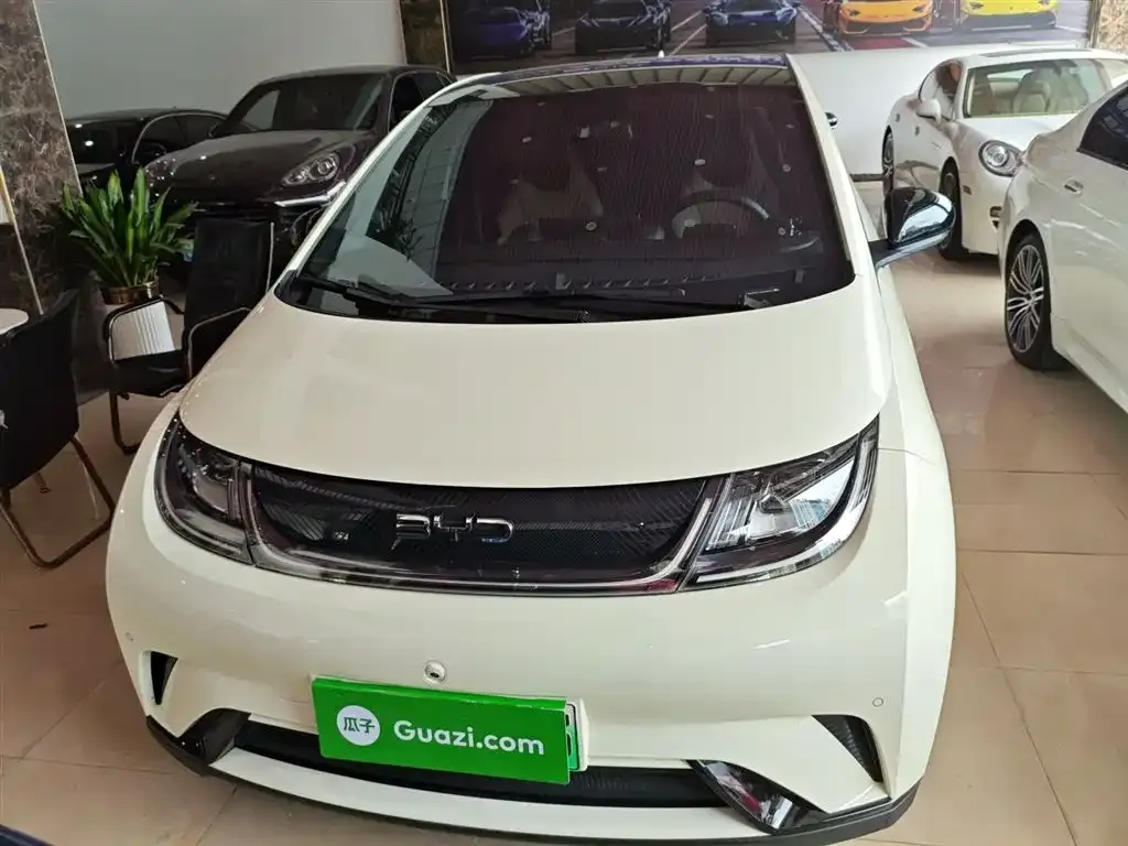 BYD Dolphin 2024 из CN, фото 3