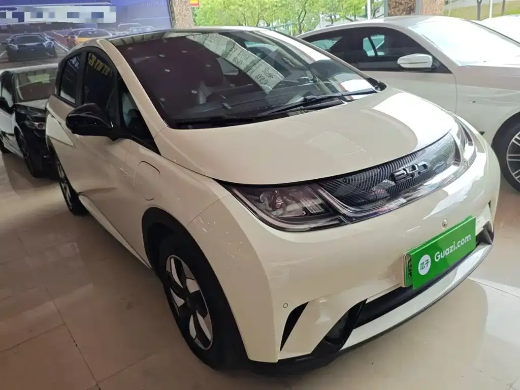 BYD Dolphin 2024 из CN, фото 4