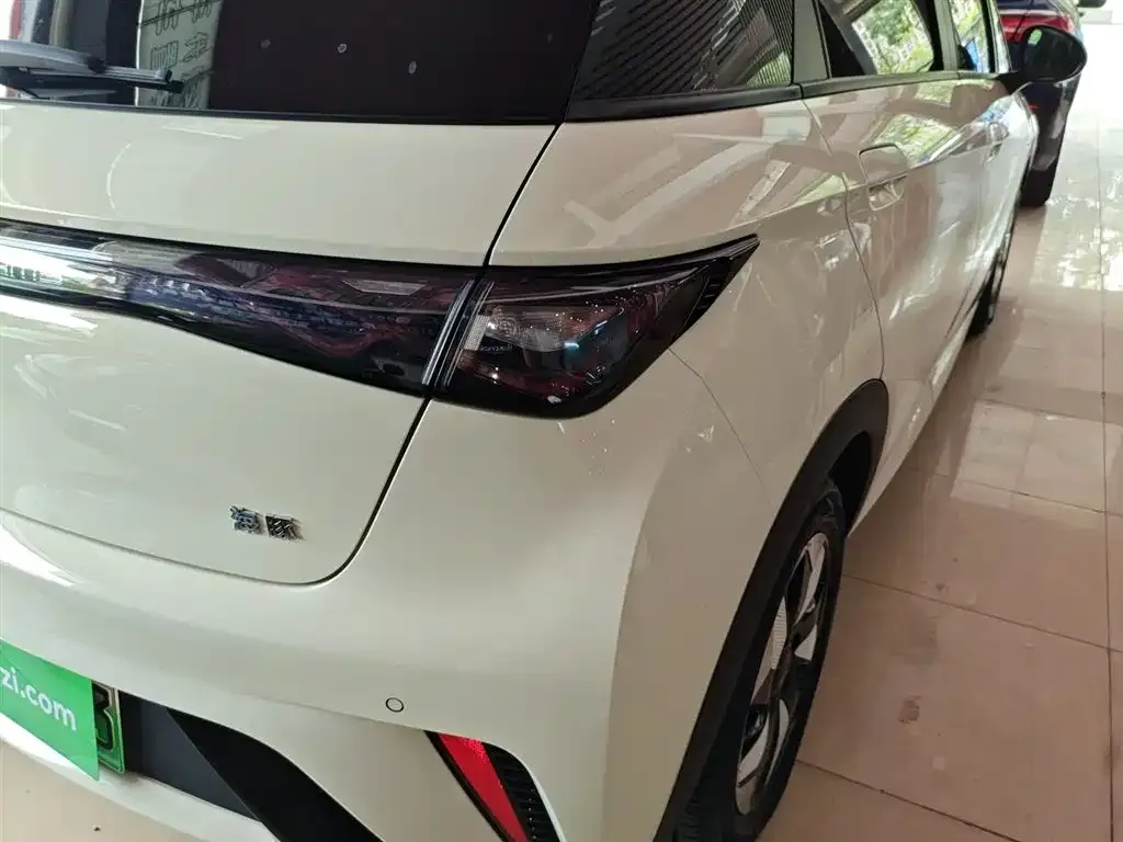 BYD Dolphin 2024 из CN, фото 8