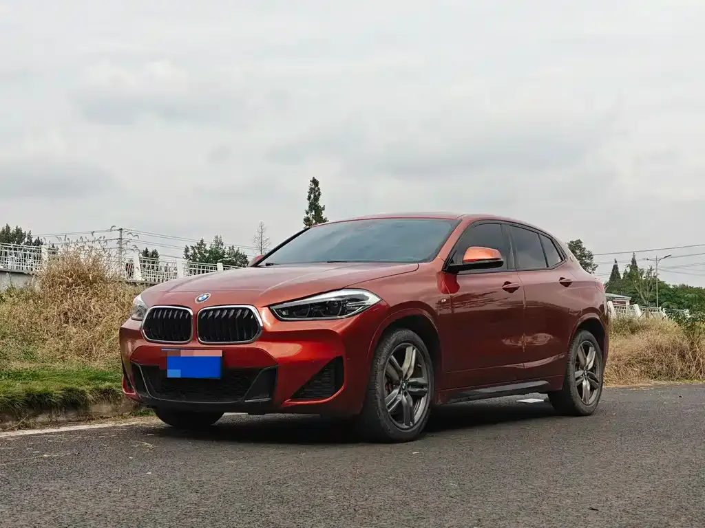 BMW X2 — фото 1