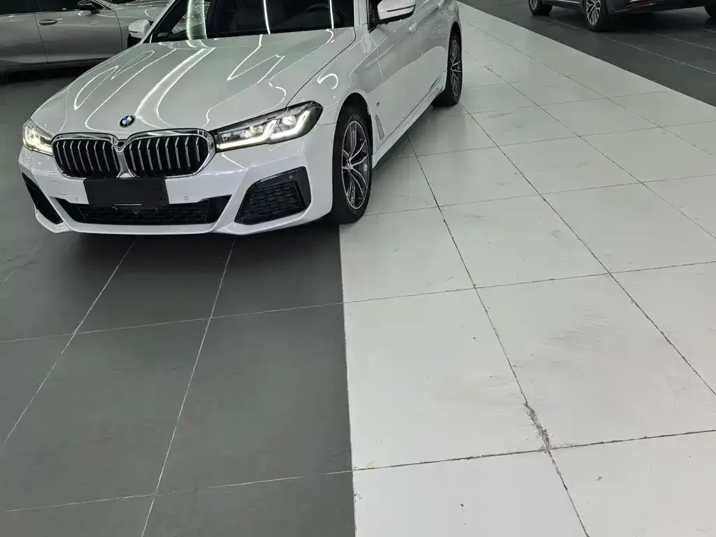 BMW 5 Series 2021 из CN, фото 1