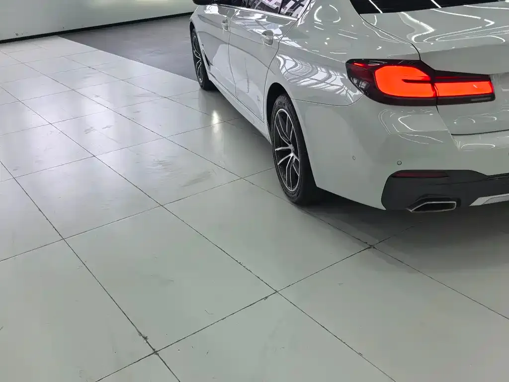 BMW 5 Series 2021 из CN, фото 10