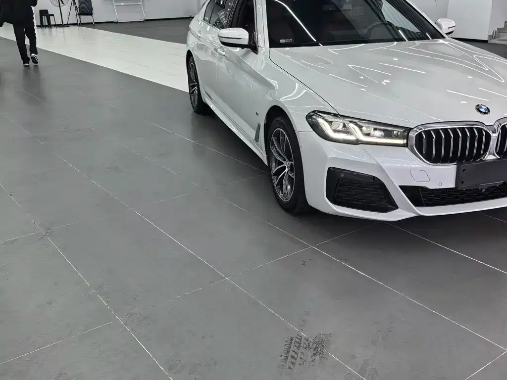 BMW 5 Series 2021 из CN, фото 2