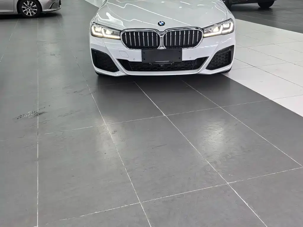 BMW 5 Series 2021 из CN, фото 3