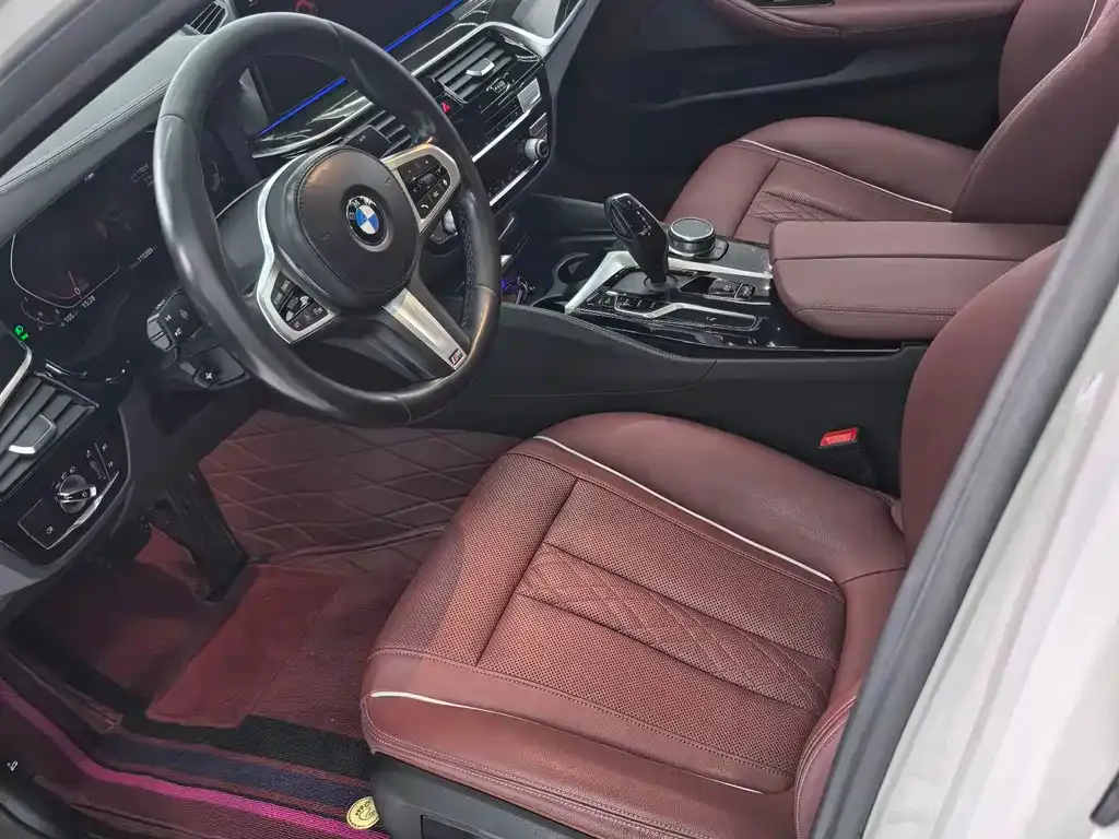BMW 5 Series 2021 из CN, фото 4