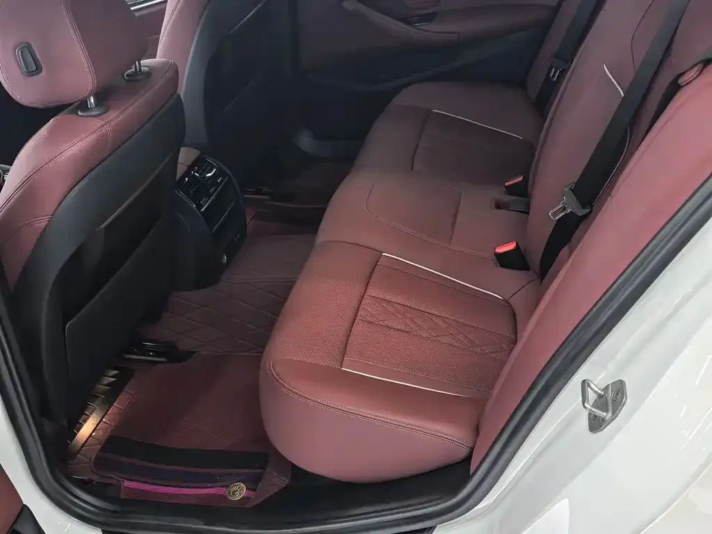BMW 5 Series 2021 из CN, фото 5