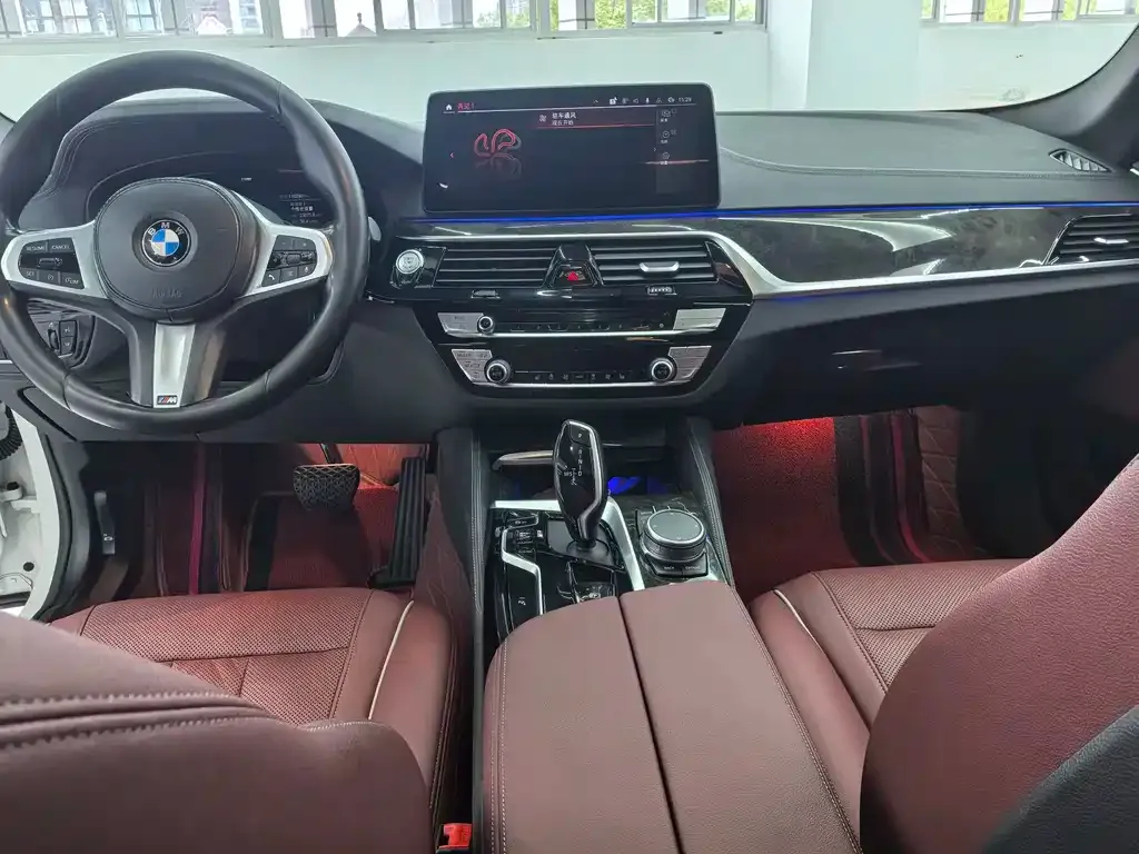 BMW 5 Series 2021 из CN, фото 6