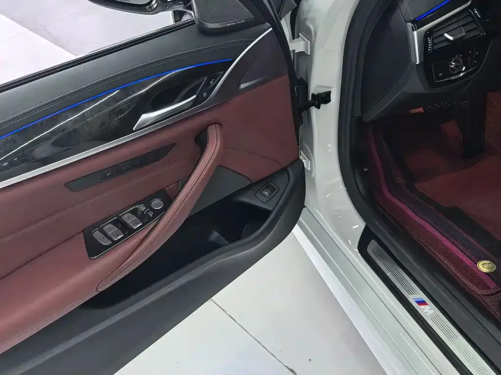BMW 5 Series 2021 из CN, фото 7