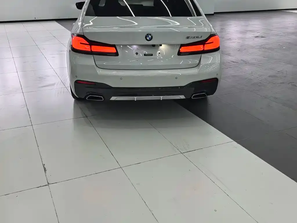 BMW 5 Series 2021 из CN, фото 8