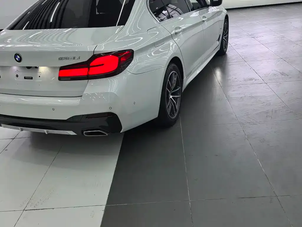 BMW 5 Series 2021 из CN, фото 9