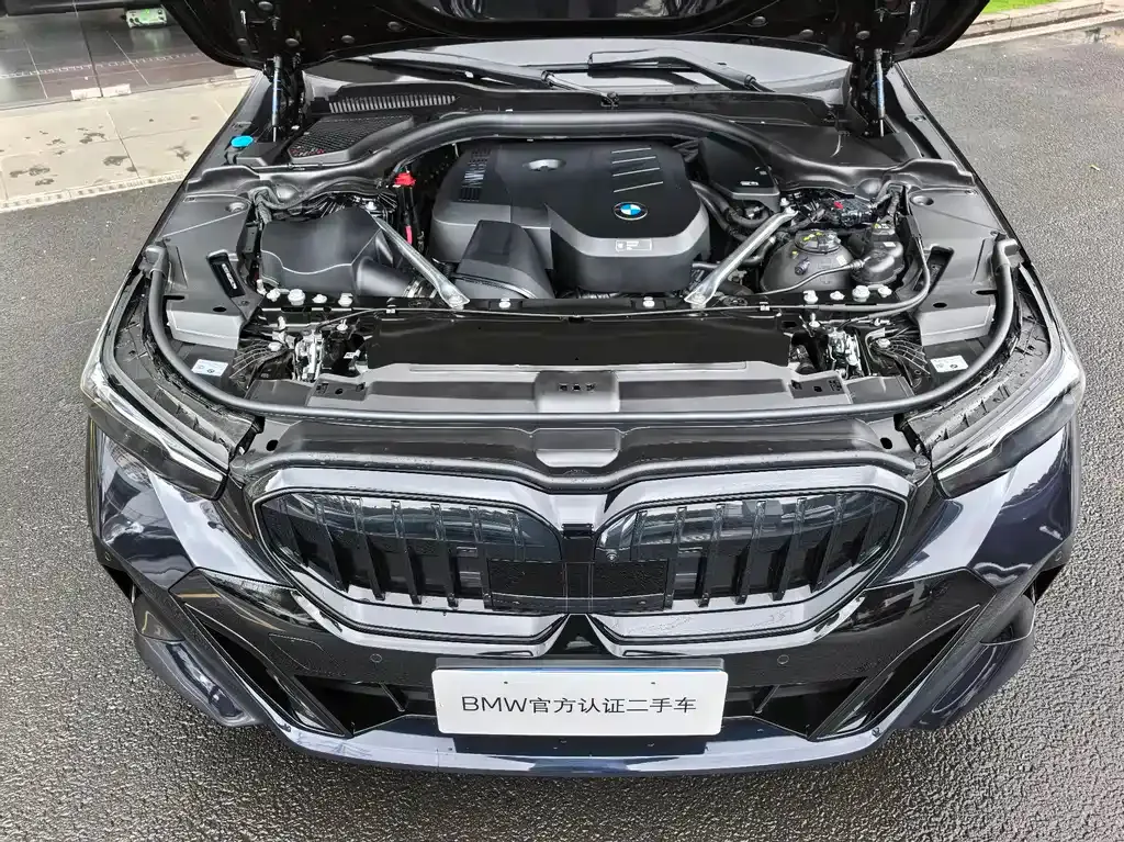 BMW 5 Series 2025 из CN, фото 3
