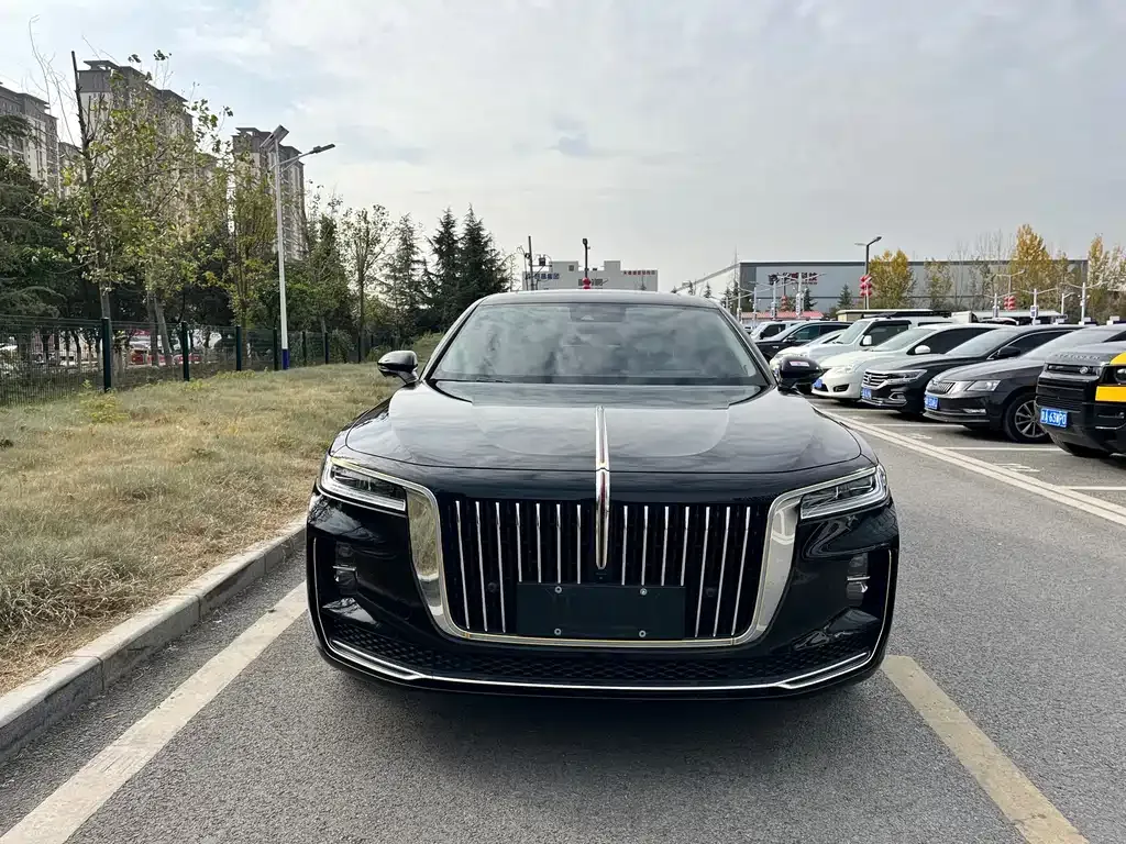 Hongqi H9 2021 из CN, фото 2