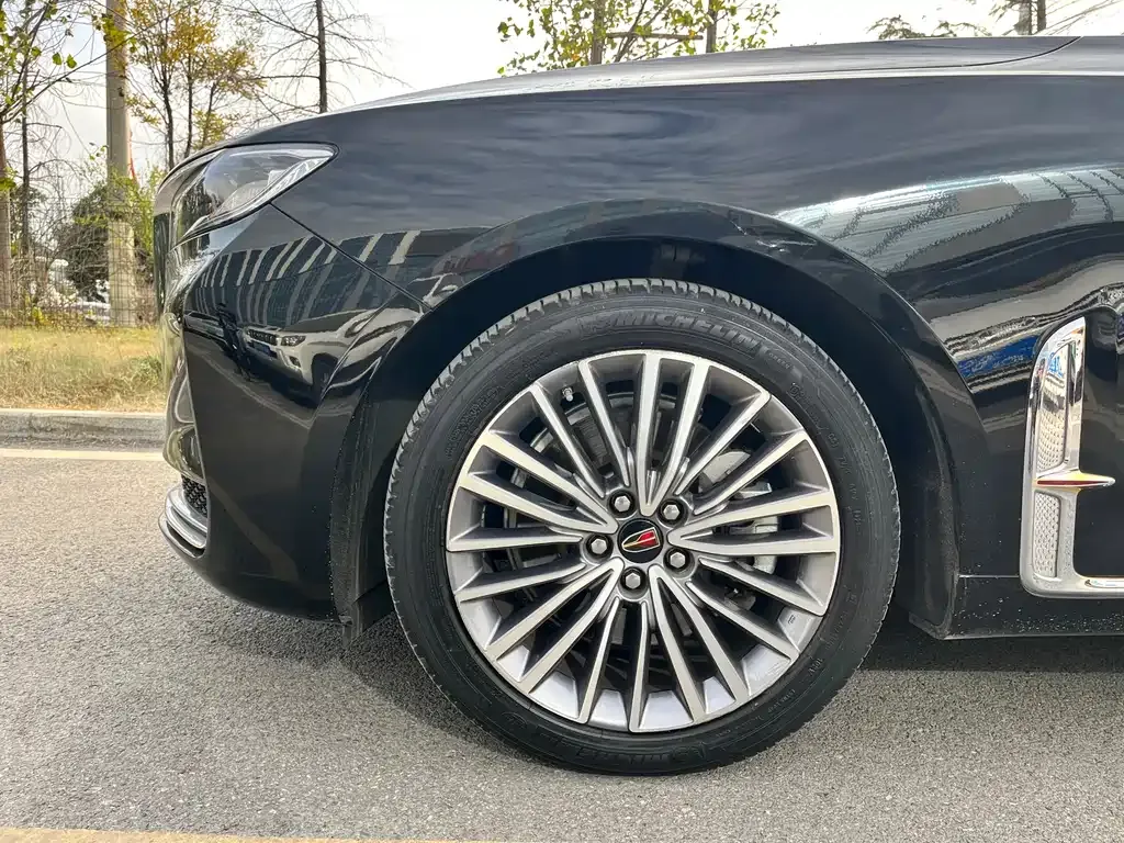 Hongqi H9 2021 из CN, фото 6