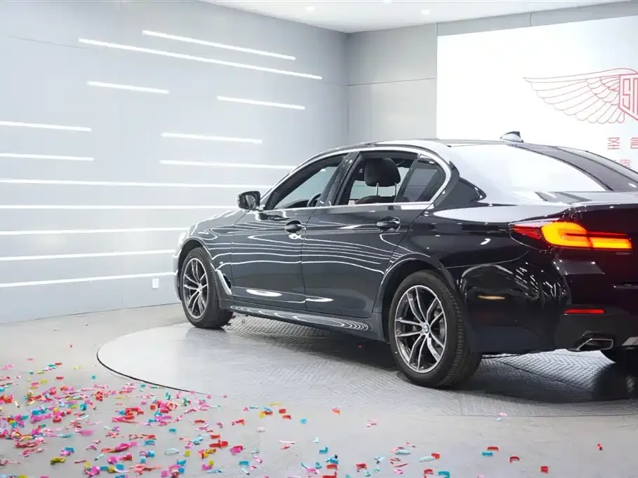 BMW 5 Series 2022 из CN, фото 3