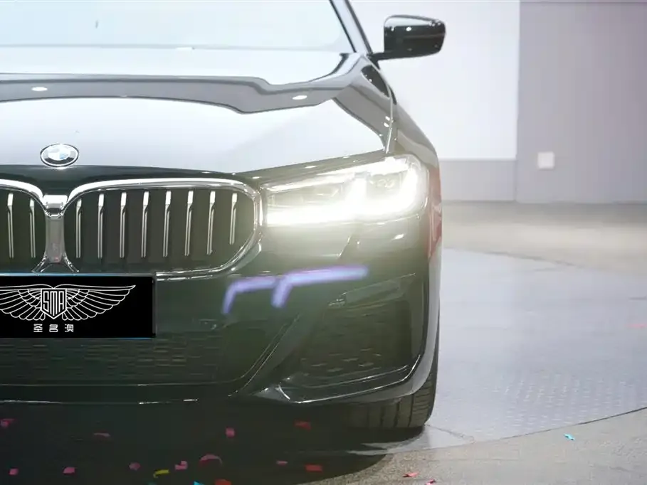 BMW 5 Series 2022 из CN, фото 4