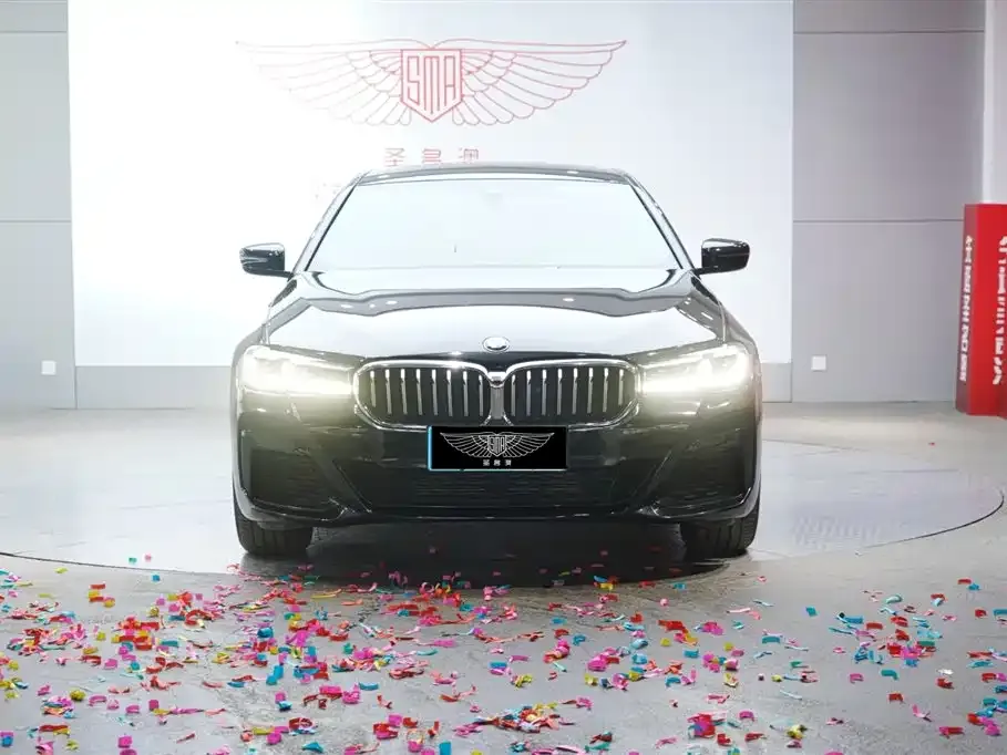 BMW 5 Series 2022 из CN, фото 5