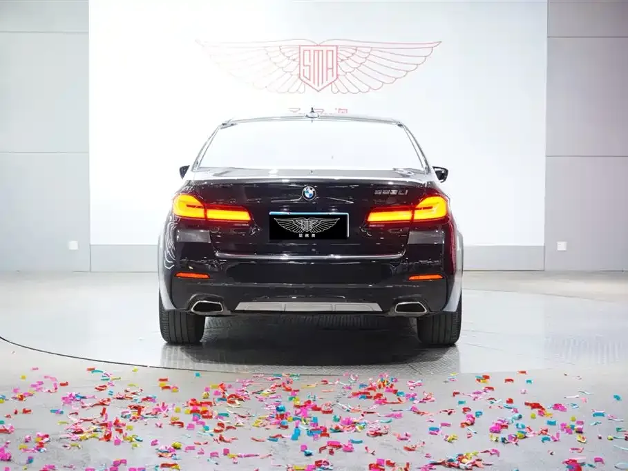 BMW 5 Series 2022 из CN, фото 6