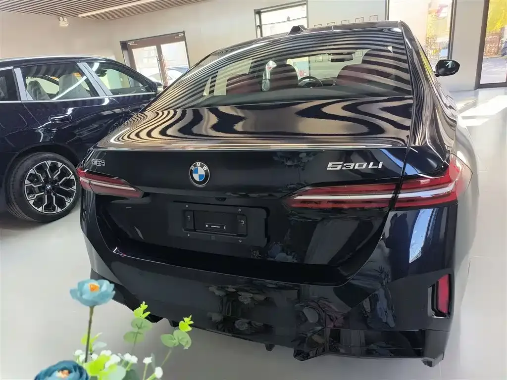 BMW 5 Series 2025 из CN, фото 6