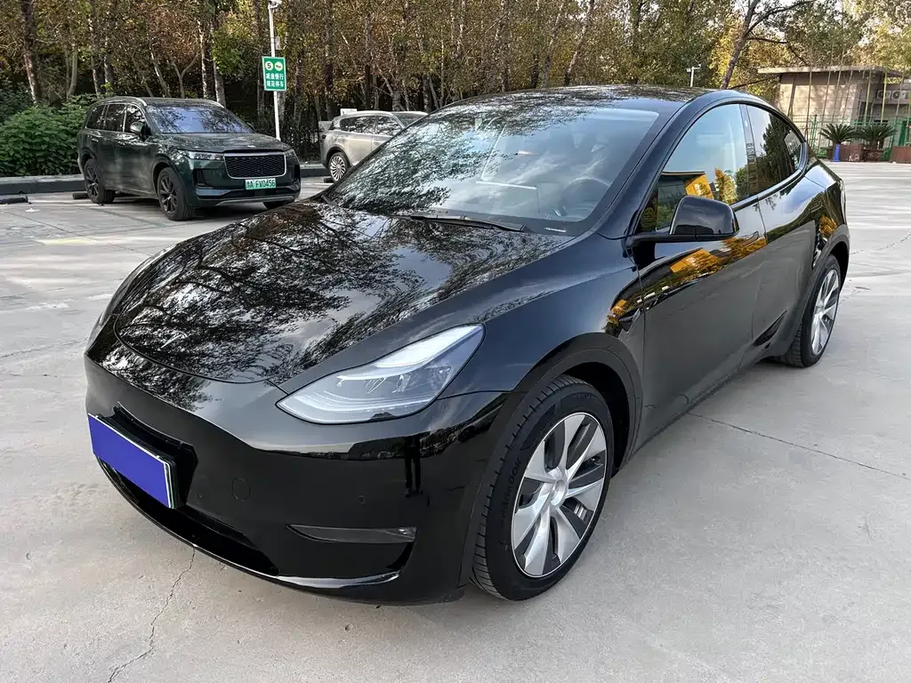 Tesla Model Y 2022 из CN, фото 1