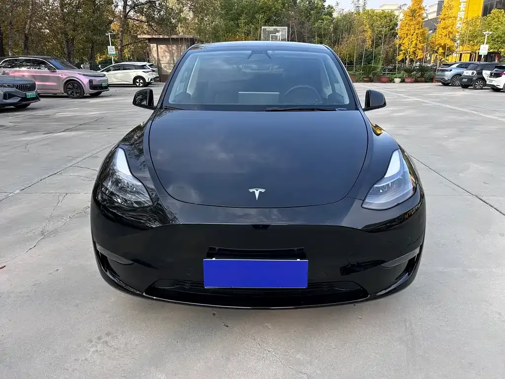 Tesla Model Y 2022 из CN, фото 2