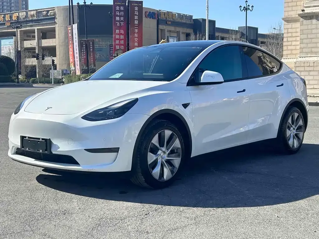 Tesla Model Y 2021 из CN, фото 1