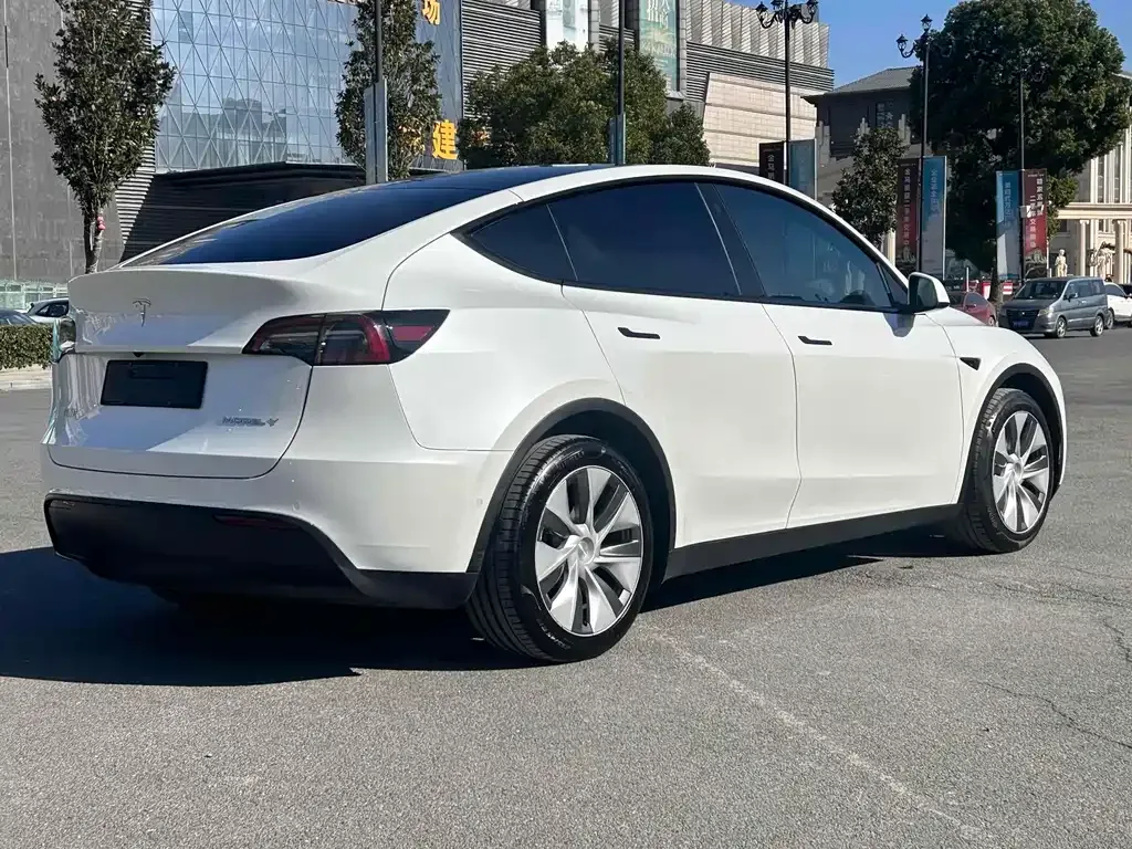 Tesla Model Y 2021 из CN, фото 10