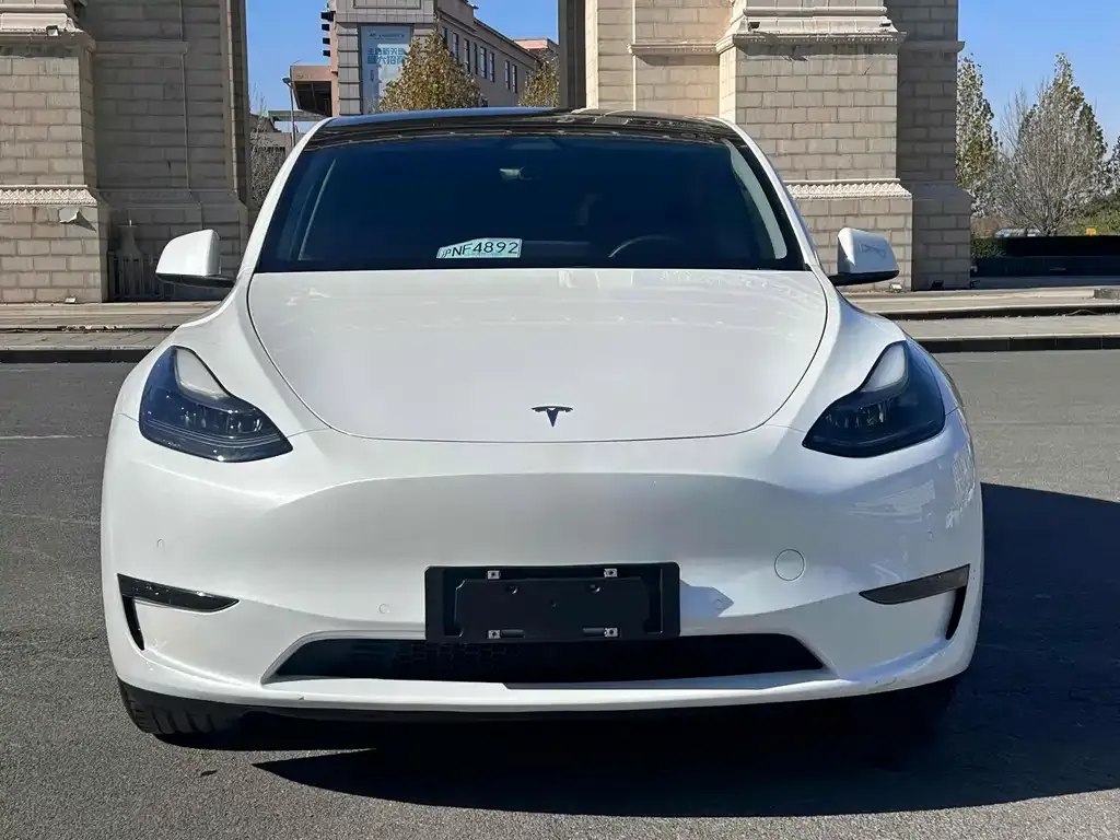 Tesla Model Y 2021 из CN, фото 2
