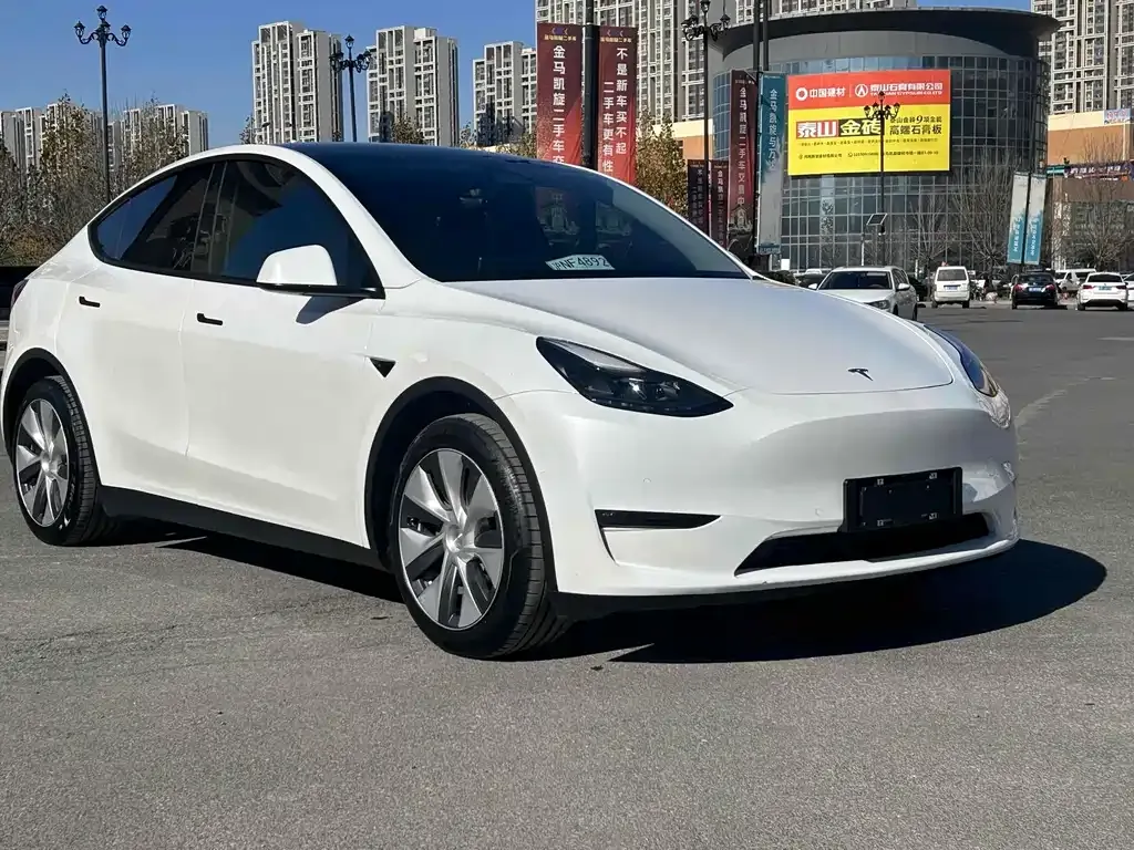 Tesla Model Y 2021 из CN, фото 3