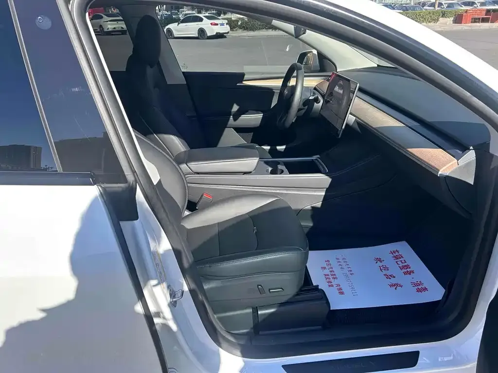 Tesla Model Y 2021 из CN, фото 5
