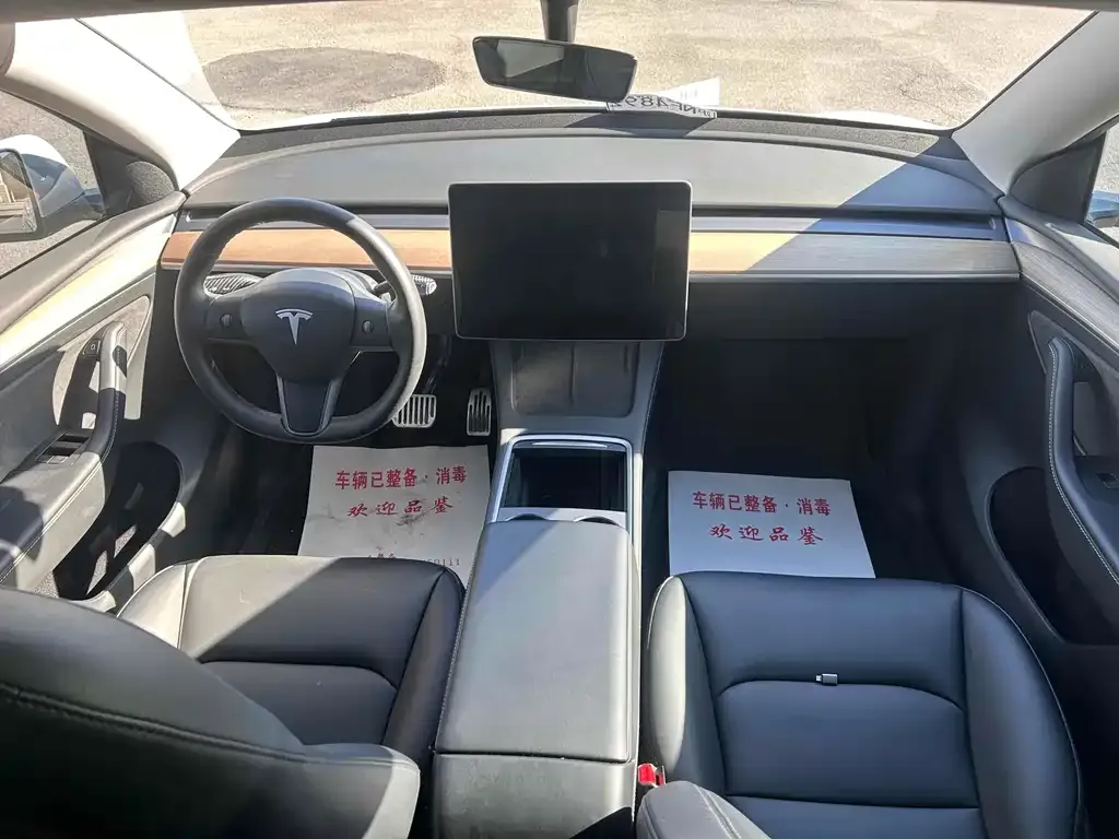 Tesla Model Y 2021 из CN, фото 6