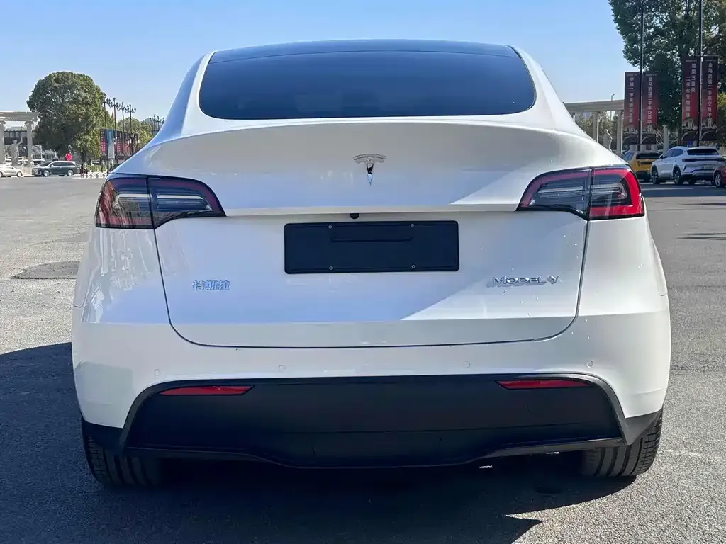 Tesla Model Y 2021 из CN, фото 8