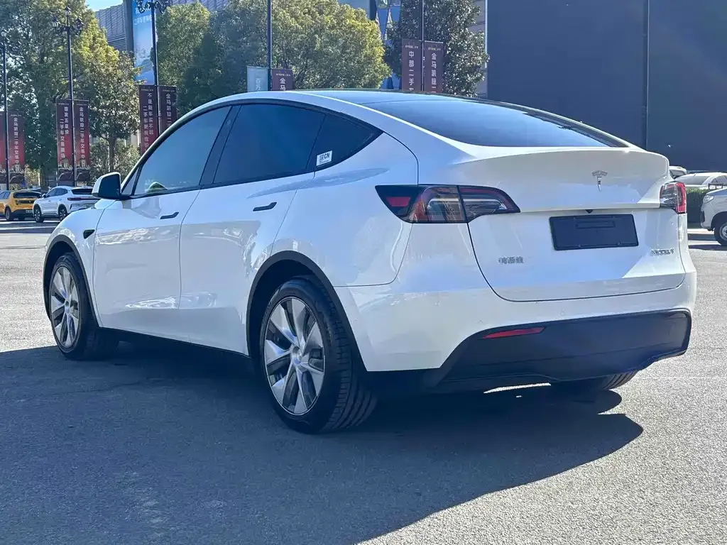 Tesla Model Y 2021 из CN, фото 9