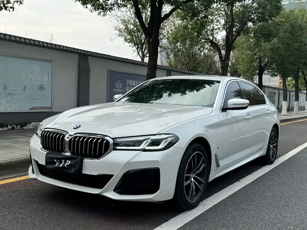 BMW 5 Series 2023 из CN, фото 1