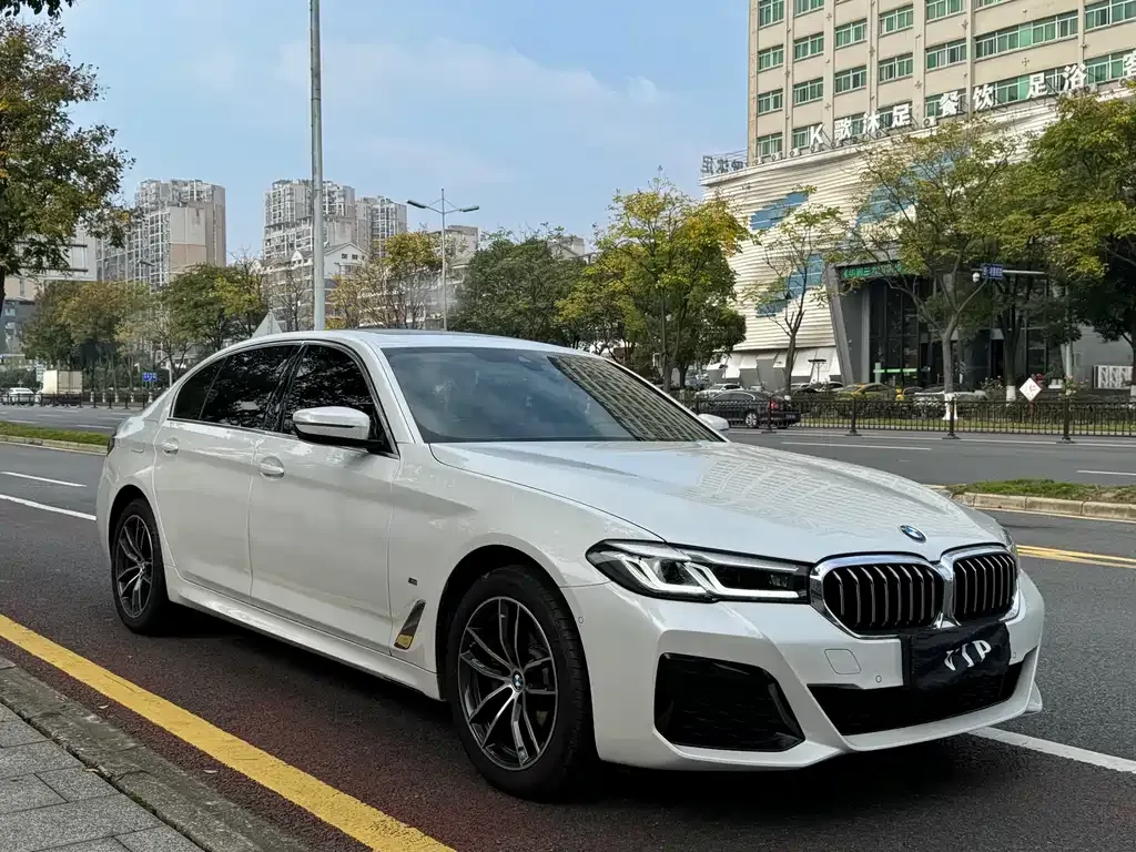 BMW 5 Series 2023 из CN, фото 2