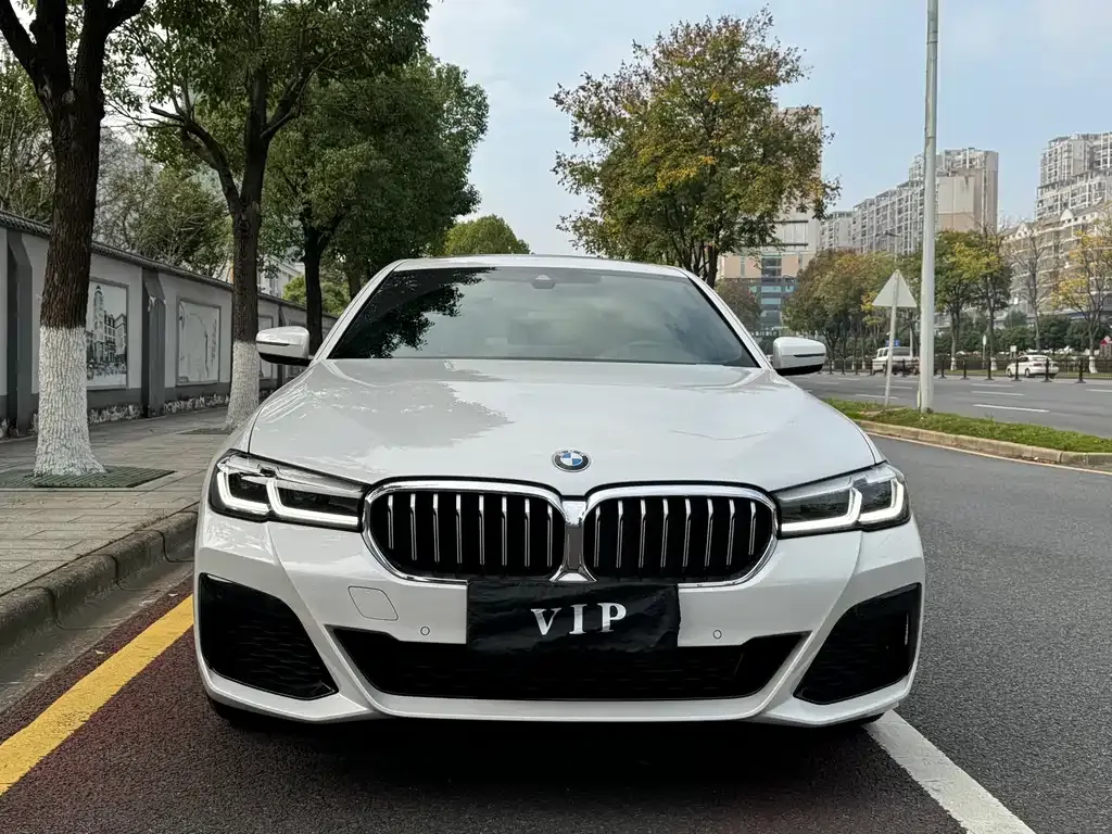 BMW 5 Series 2023 из CN, фото 3