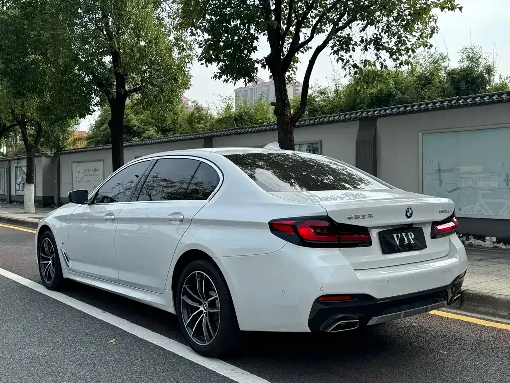 BMW 5 Series 2023 из CN, фото 9
