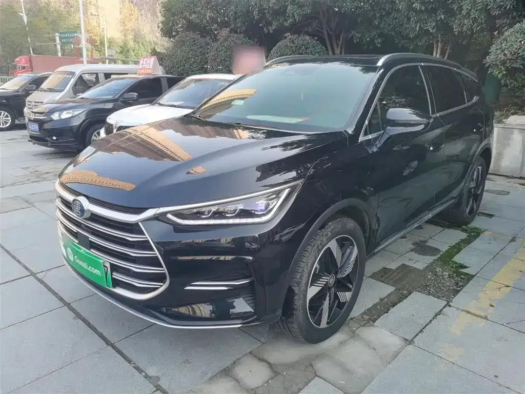 BYD Tang New Energy 2024 из CN, фото 2