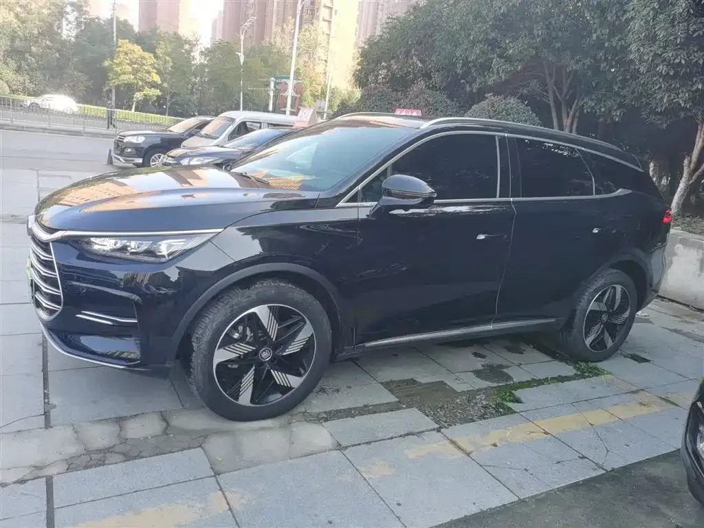 BYD Tang New Energy 2024 из CN, фото 5