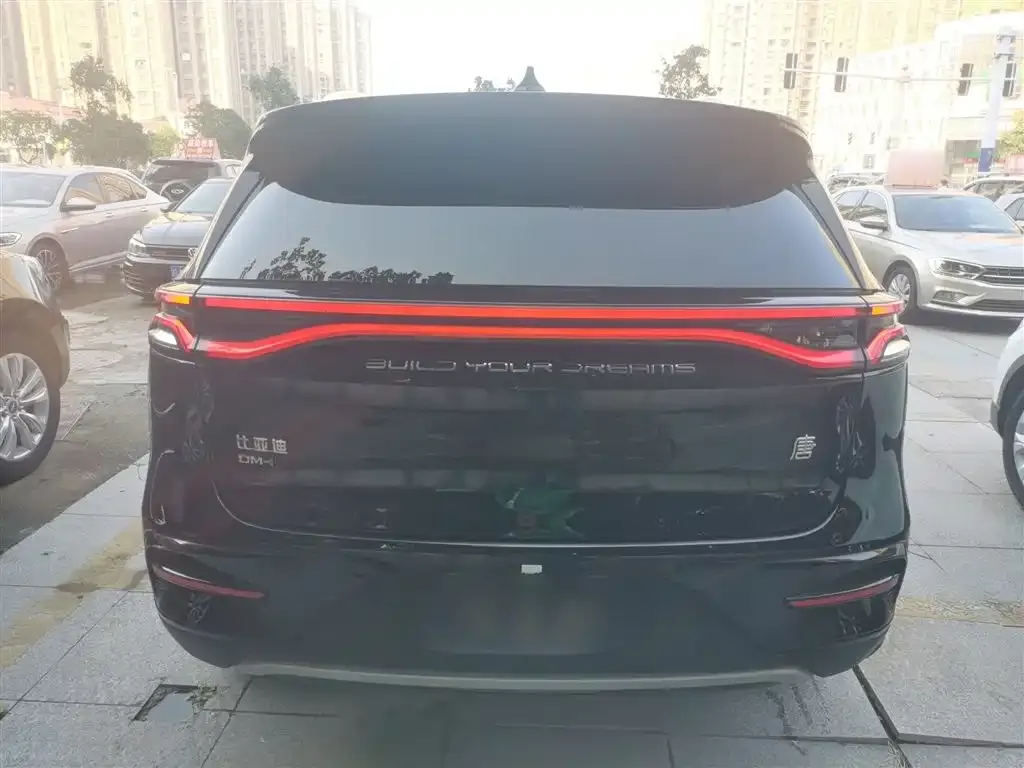 BYD Tang New Energy 2024 из CN, фото 6
