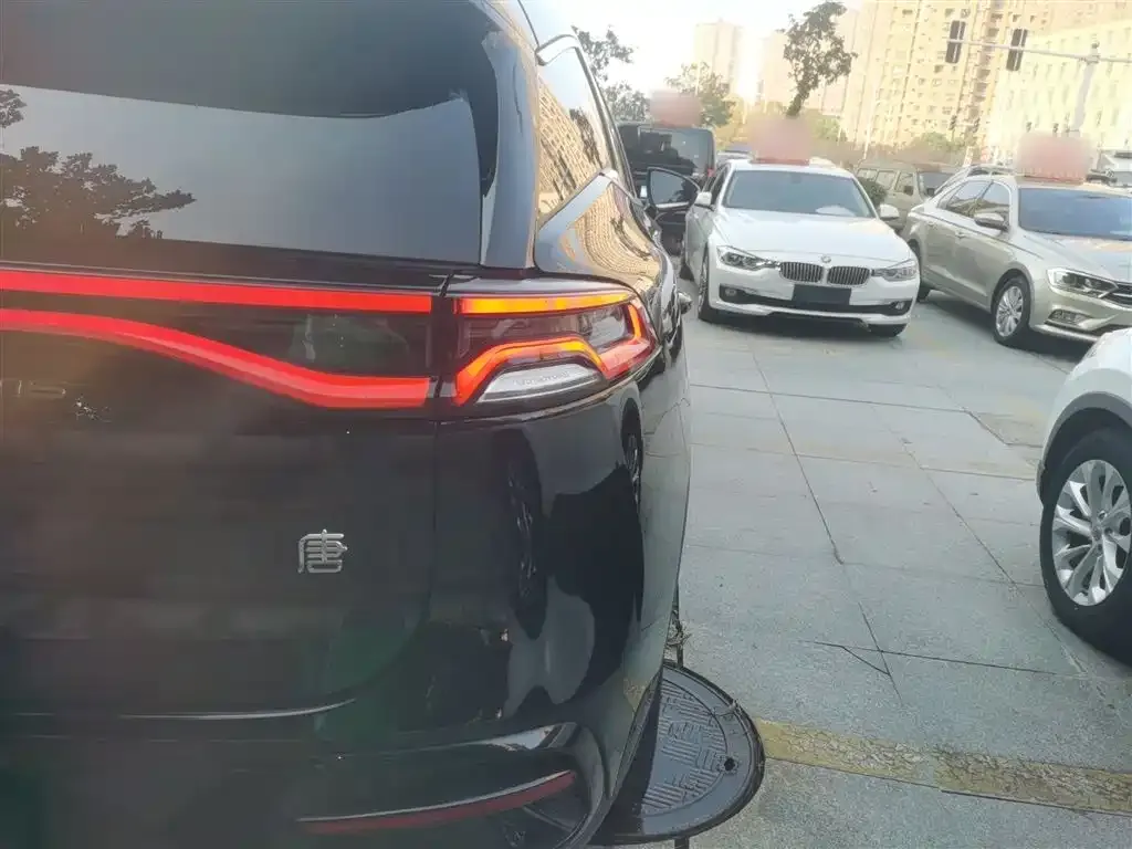 BYD Tang New Energy 2024 из CN, фото 8