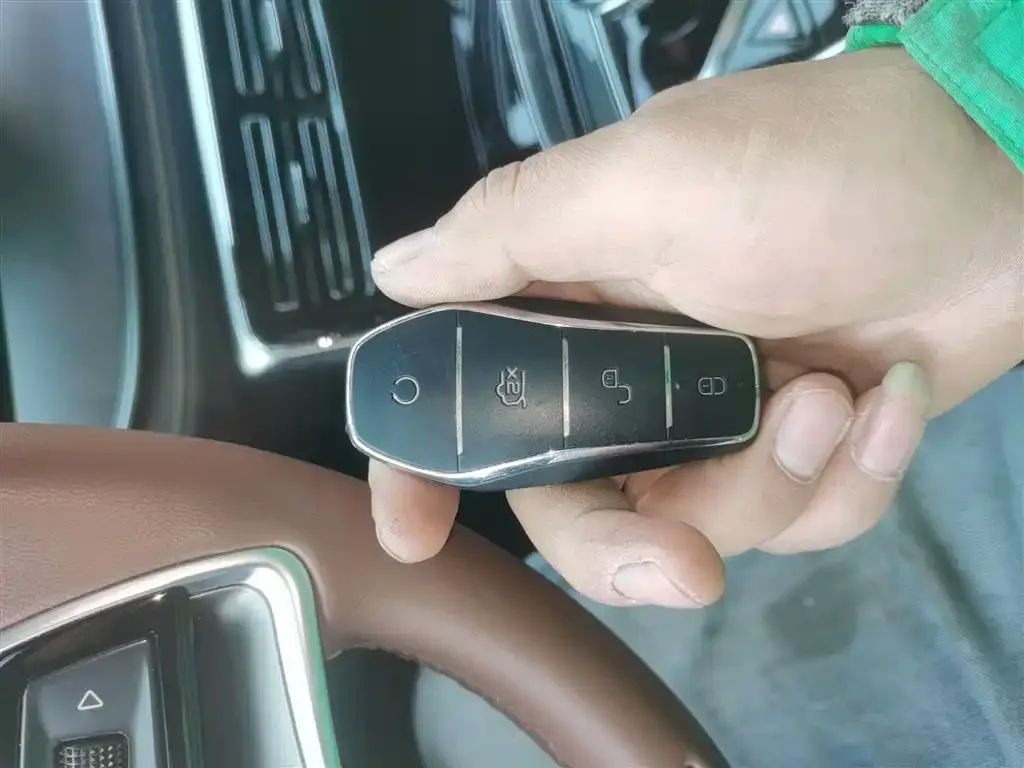 BYD Tang New Energy 2024 из CN, фото 9