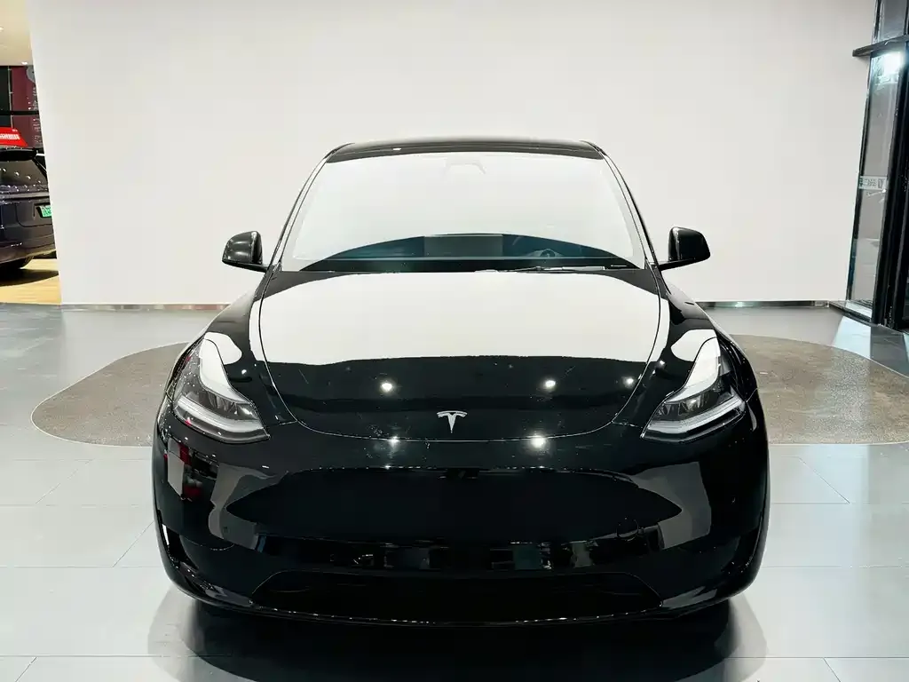 Tesla Model Y 2023 из CN, фото 1