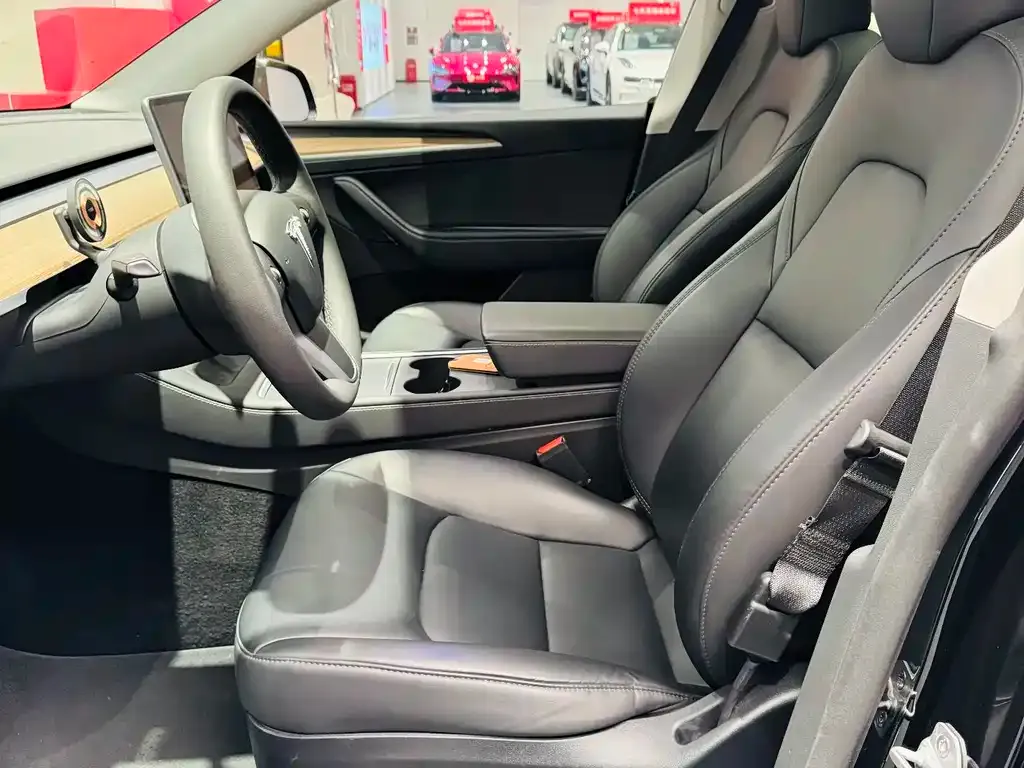 Tesla Model Y 2023 из CN, фото 8